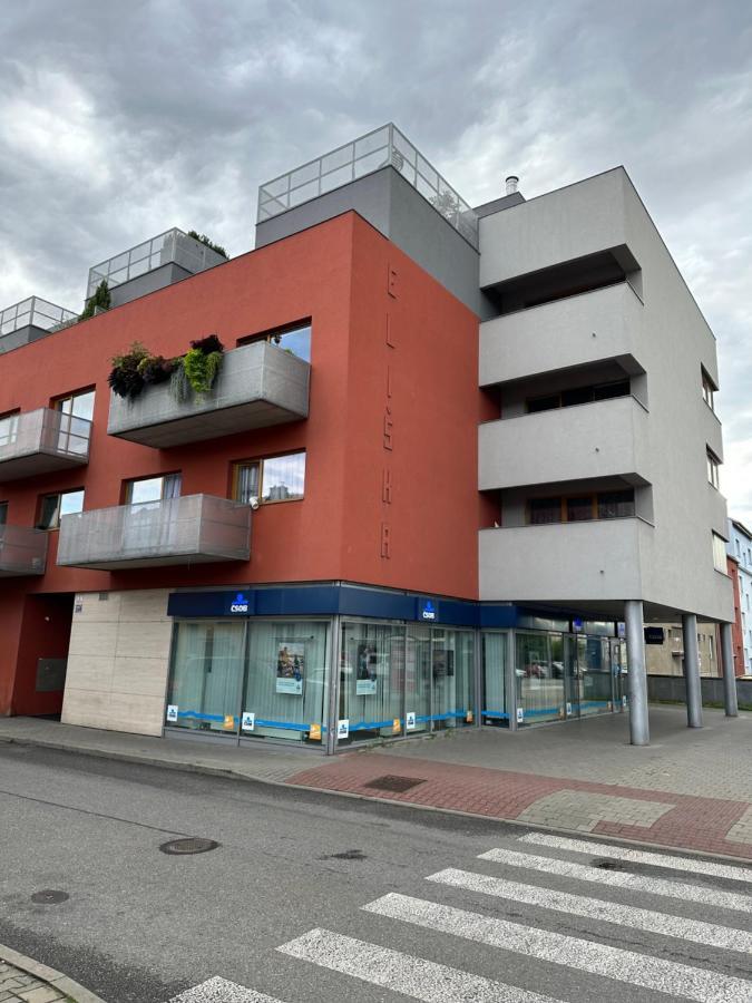 Apartments Spacilova Nearly Center Komarov Екстер'єр фото